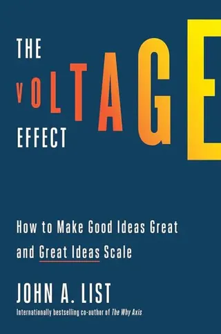 Voltage Effect, The (Mr Exp)
