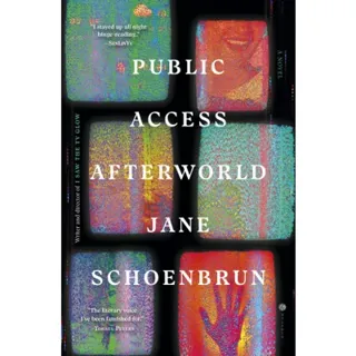 Public Access Afterworld: A Novel