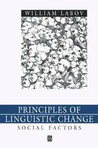 Principles of Linguistic Change, Volume 2
