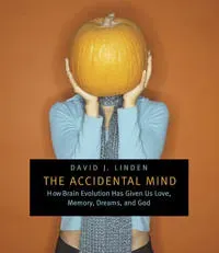 The Accidental Mind