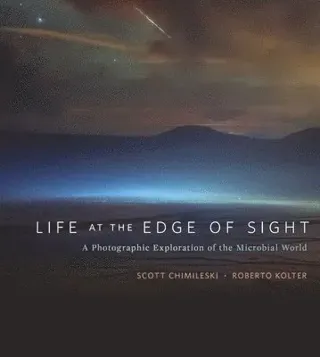 Life at the Edge of Sight