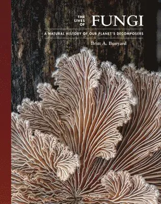 The Lives of Fungi