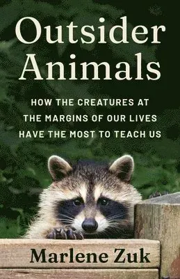 Outsider Animals