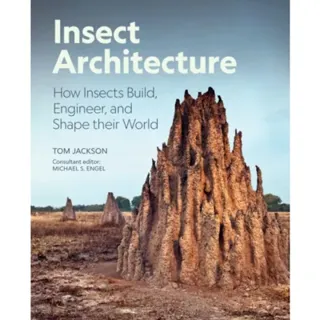 Insect Architecture