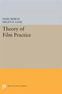 Theory of Film Practice