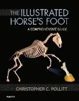 The Illustrated Horse's Foot