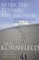 After the Ecstasy, the Laundry