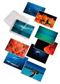 David Doubilet; Water Light Time Postcards