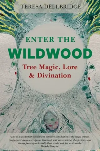 Enter the Wildwood