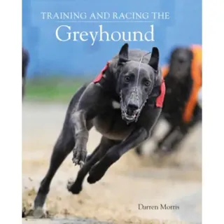 Training and Racing the Greyhound