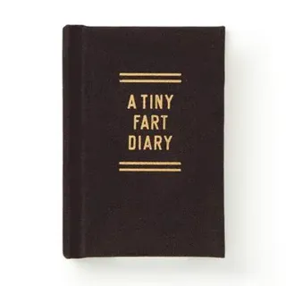A Tiny Fart Diary