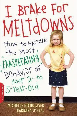 I Brake for Meltdowns