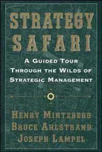 Strategy Safari