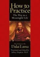 How to Practice: The Way to a Meaningful Life