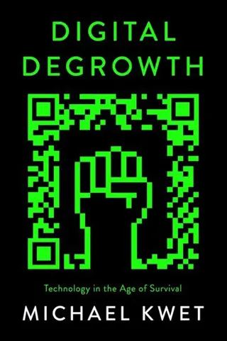 Digital Degrowth