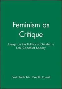 Feminism as Critique