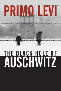 The Black Hole of Auschwitz