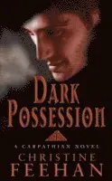 Dark possession - number 18 in series