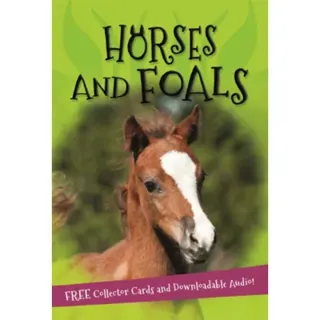 It's all about... Horses and Foals