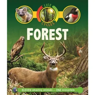 Life Cycles: Forest