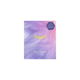 The Angel Experience