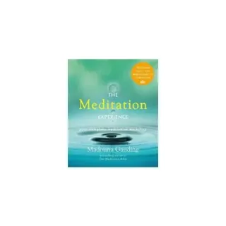 The Meditation Experience