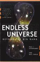 Endless Universe