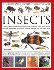 Illustrated world encyclopaedia of insects - a natural history and identifi