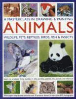 Masterclass in drawing and painting animals - wildlife, pets, reptiles, bir