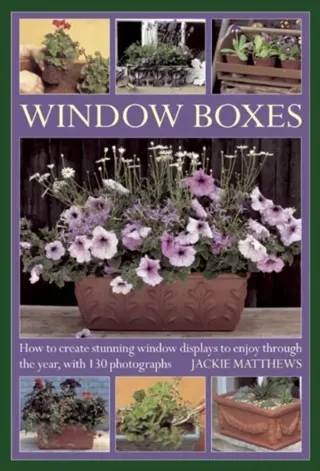 Window boxes - how to create stunning window displays to enjoy throughout t
