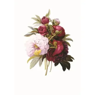 Memo Block: Redoute Peony
