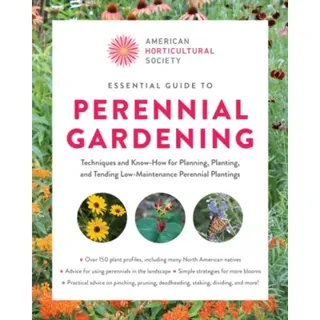 Essential Guide to Perennial Gardening