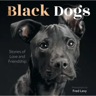 Black Dogs