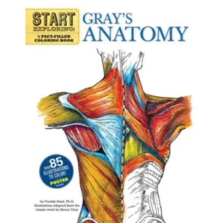 Start Exploring: Gray's Anatomy