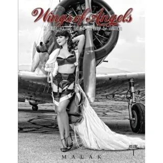 Wings of angels - a tribute to the art of world war ii pinup & aviation