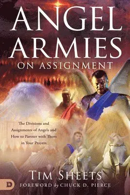 Angel Armies on Assignmnet