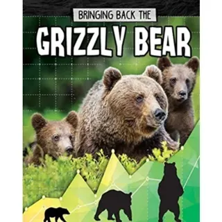 Grizzly Bear