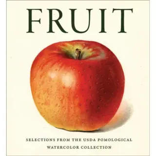 Fruit