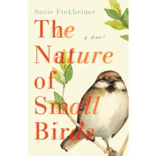 The Nature of Small Birds – A Novel