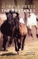 Mustangs