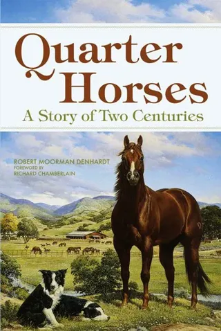 Quarter Horses