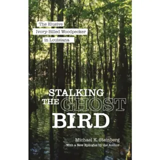 Stalking the Ghost Bird