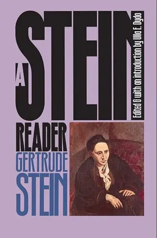 Stein Reader