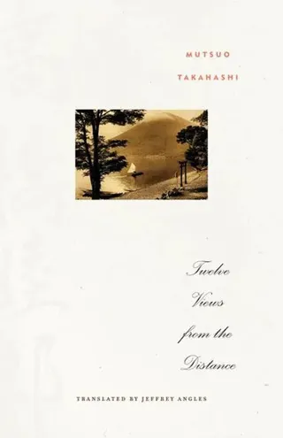 Twelve Views from the Distance