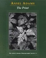 New Photo Series 3: Print