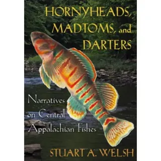 Hornyheads, Madtoms, and Darters