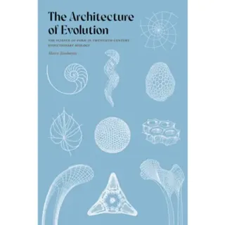 The Architecture of Evolution