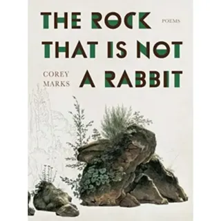The Rock That is Not a Rabbit
