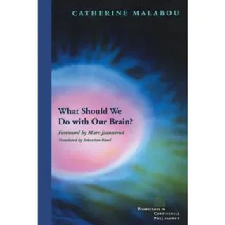 What Should We Do with Our Brain?