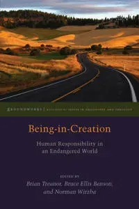 Being-in-creation - human responsibility in an endangered world